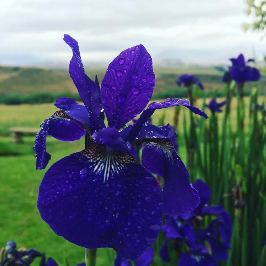Jovali Clarens Hotel Eksteriør billede